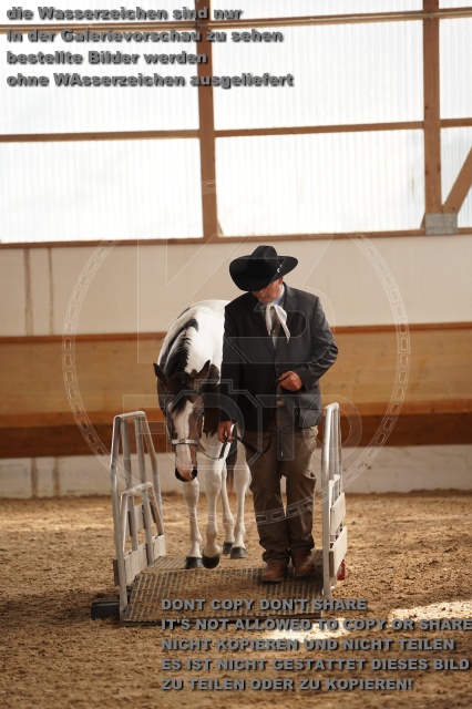 s_A_901322.JPG